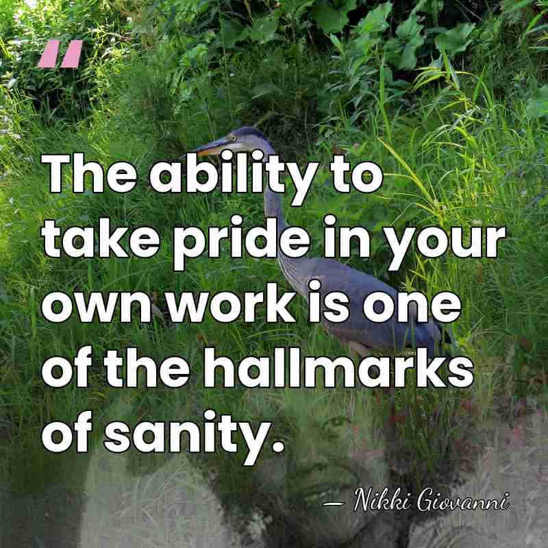 The ability to take pride in your own work is one of&hellip; - Nikki Giovanni