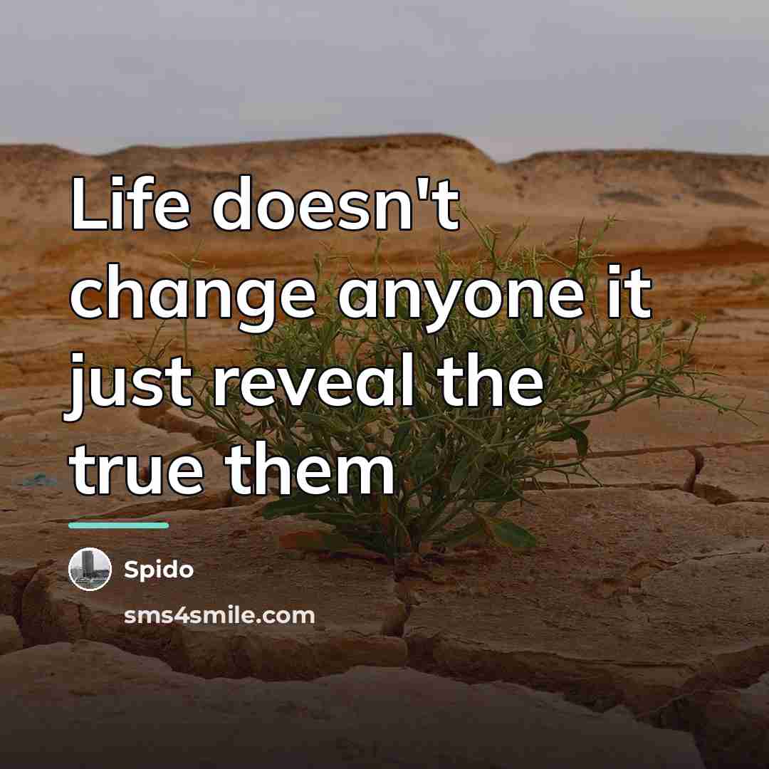 “Life doesn't change anyone it just reveal the true them…” quote by Spido