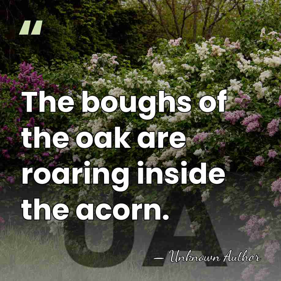 The boughs of the oak are roaring inside the acorn. - Unknown Author