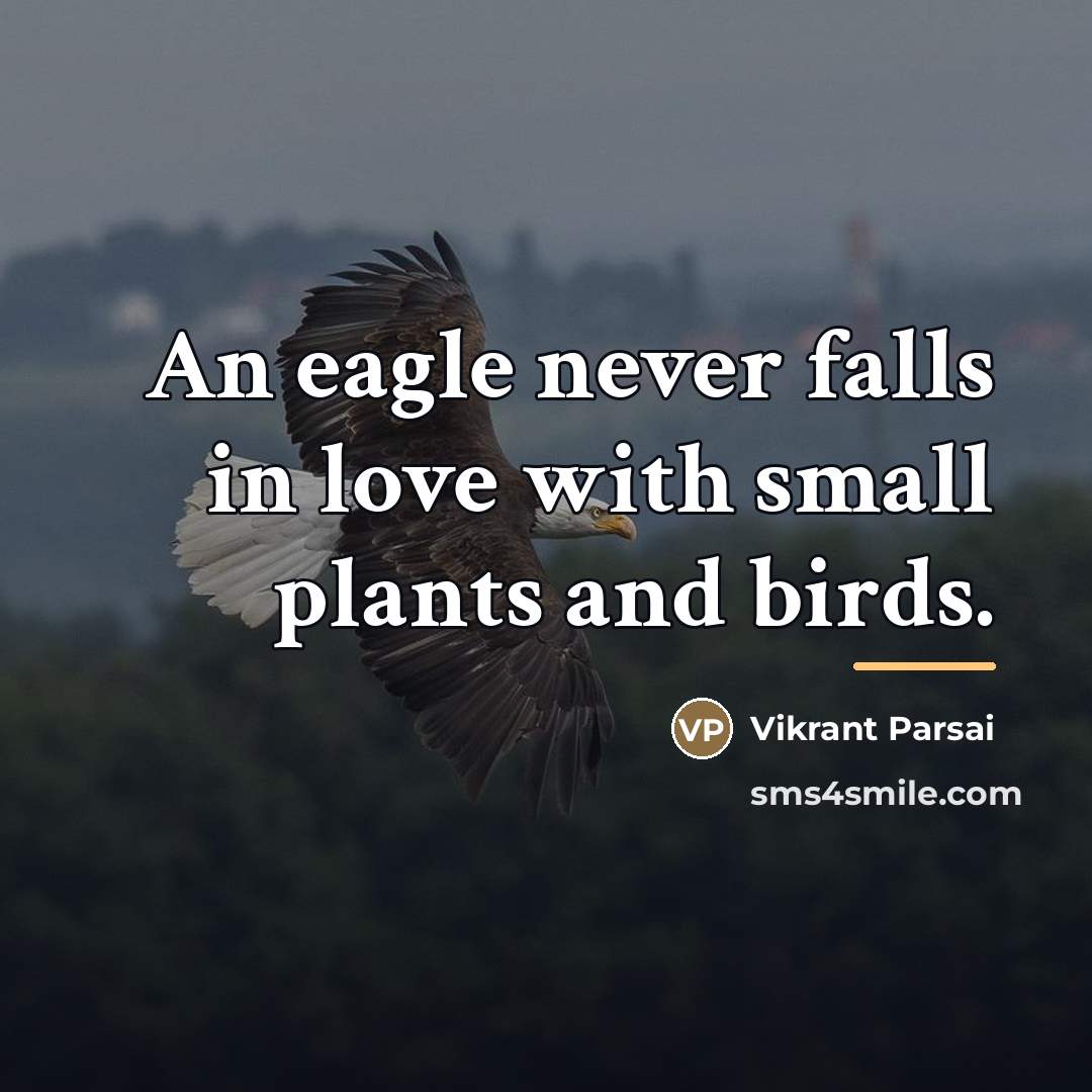 “An eagle never falls in love with small plants and…” quote by Vikrant Parsai
