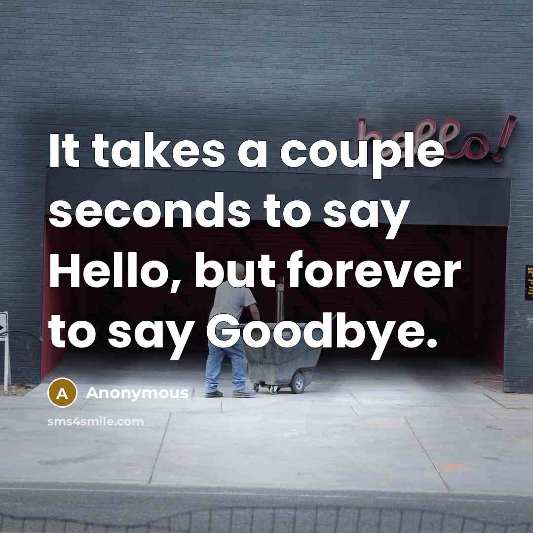 “It takes a couple seconds to say Hello, but forever to say Goodbye.” quote by Anonymous