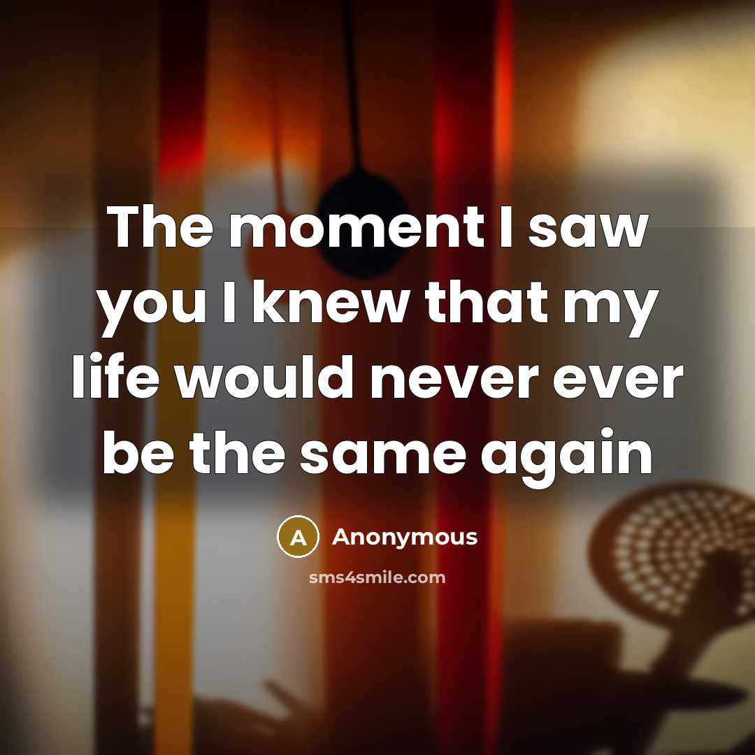 “The moment I saw you I knew that my life would never ever be the same again” quote by Anonymous
