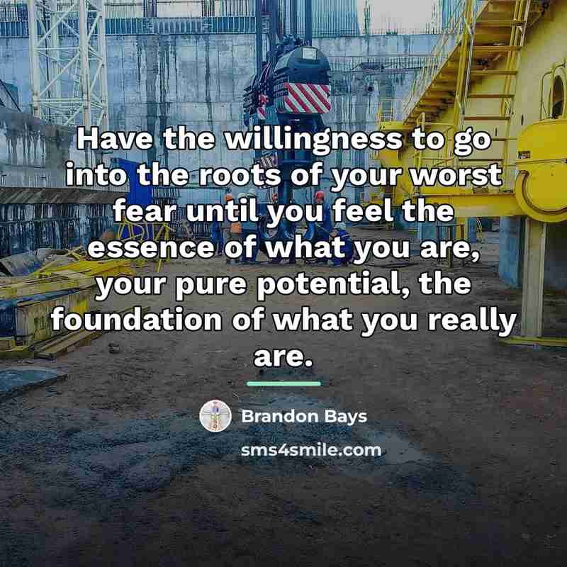 “Have the willingness to go into the roots of your…” quote by Brandon Bays