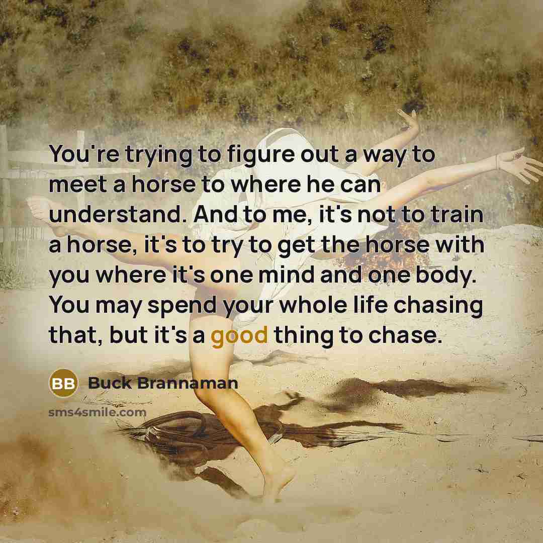 “You're trying to figure out a way to meet a…” quote by Buck Brannaman