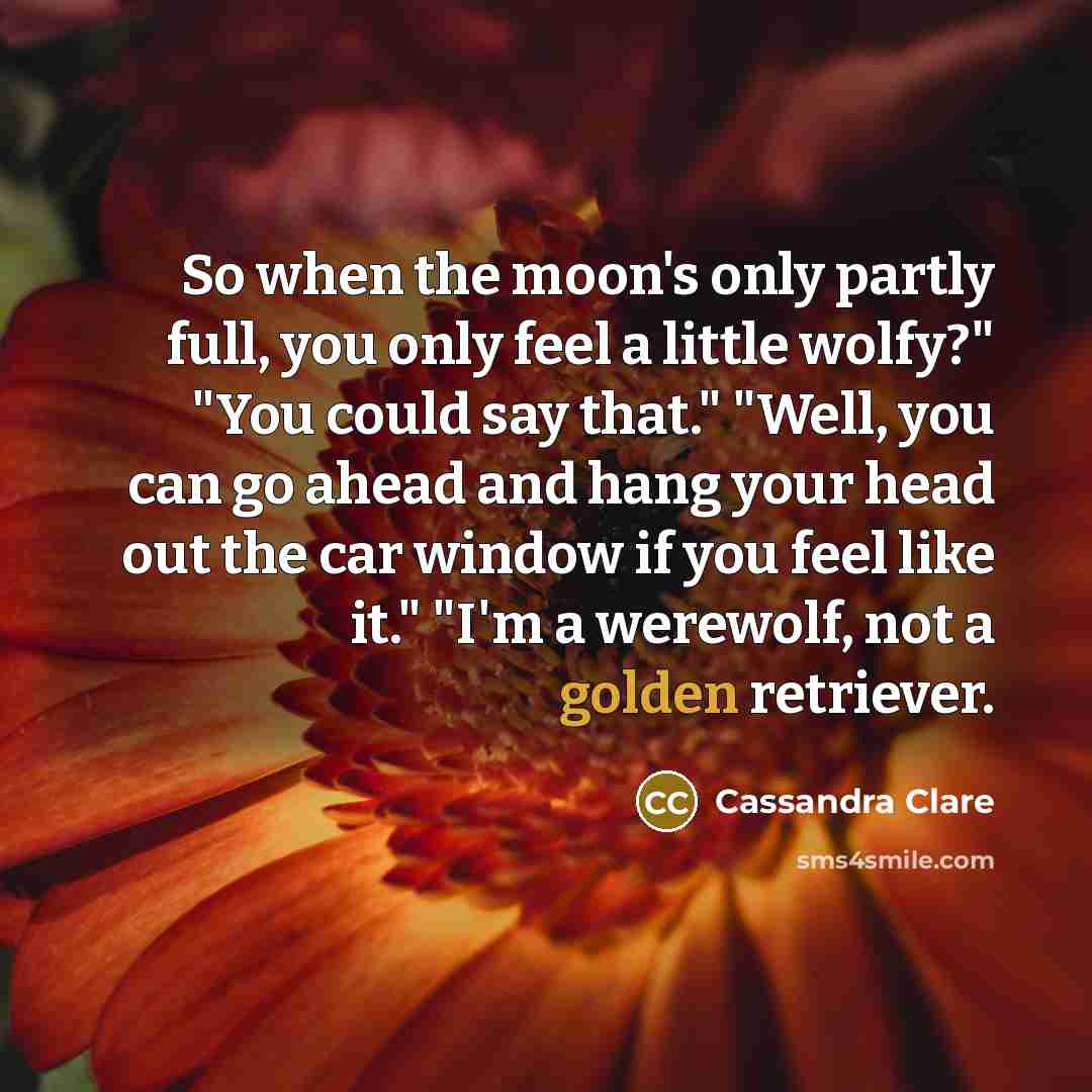 “So when the moon's only partly full, you only feel…” quote by Cassandra Clare