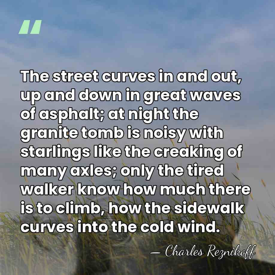 The street curves in and out, up and down in great waves&hellip; - Charles Reznikoff