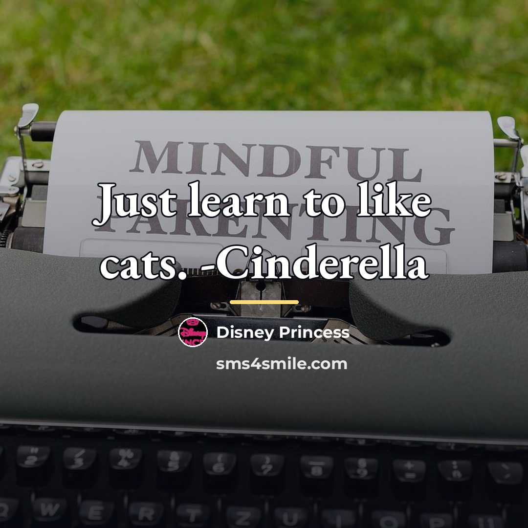 “Just learn to like cats. -Cinderella…” quote by Disney Princess