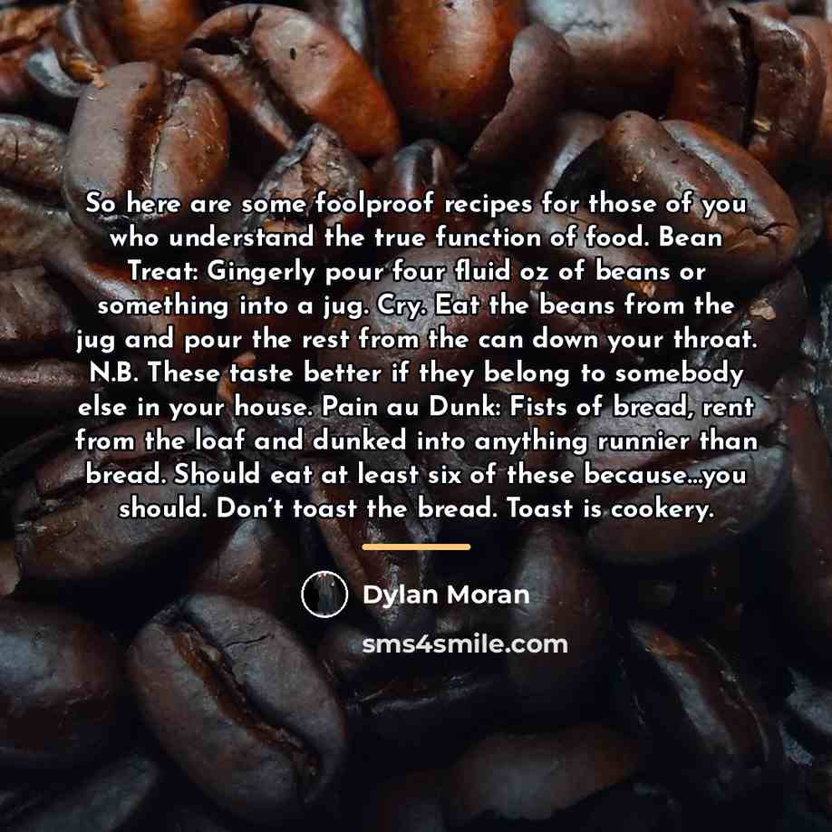 “So here are some foolproof recipes for those of you…” quote by Dylan Moran