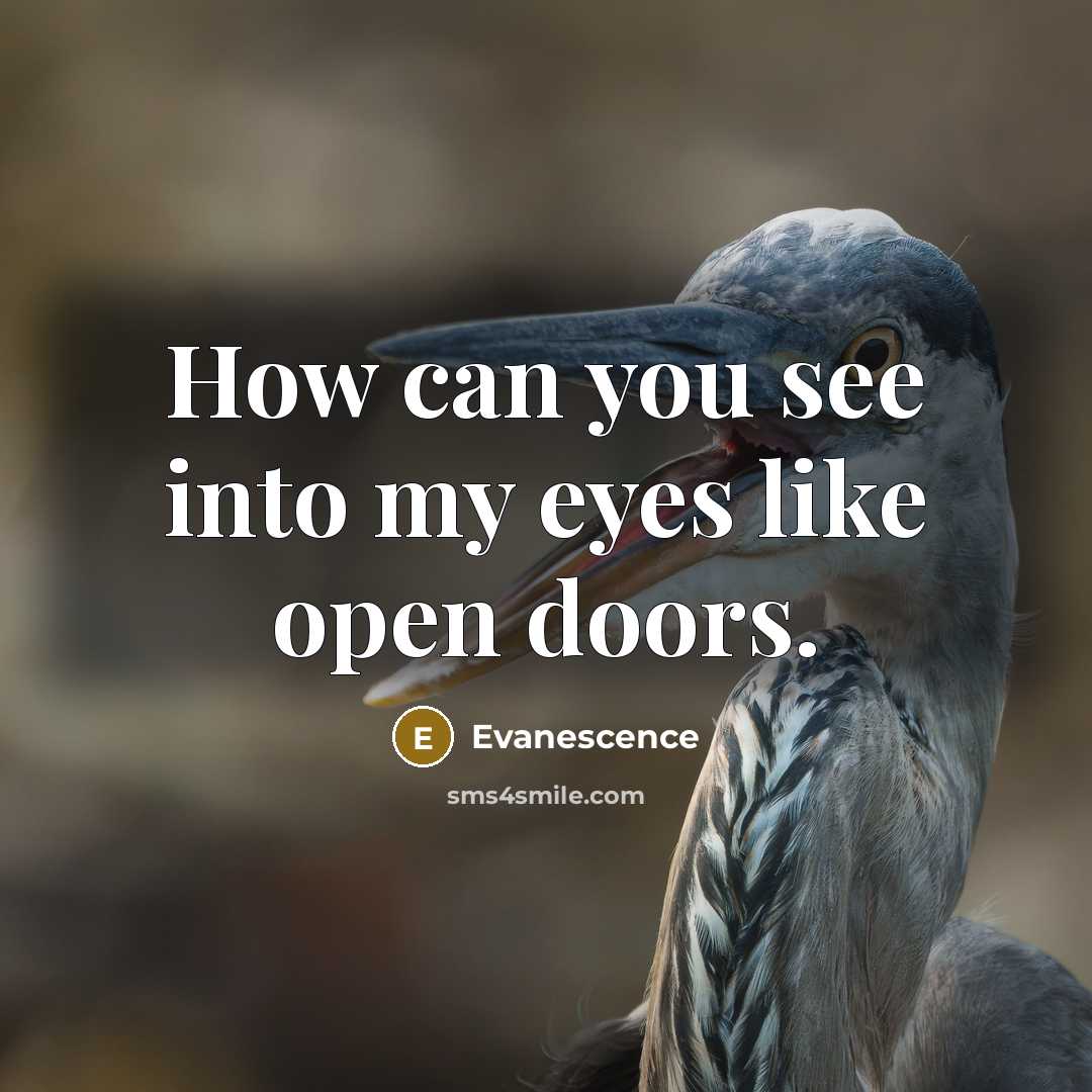 “How can you see into my eyes like open doors.…” quote by Evanescence