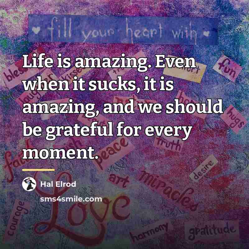 “Life is amazing. Even when it sucks, it is amazing,…” quote by Hal Elrod