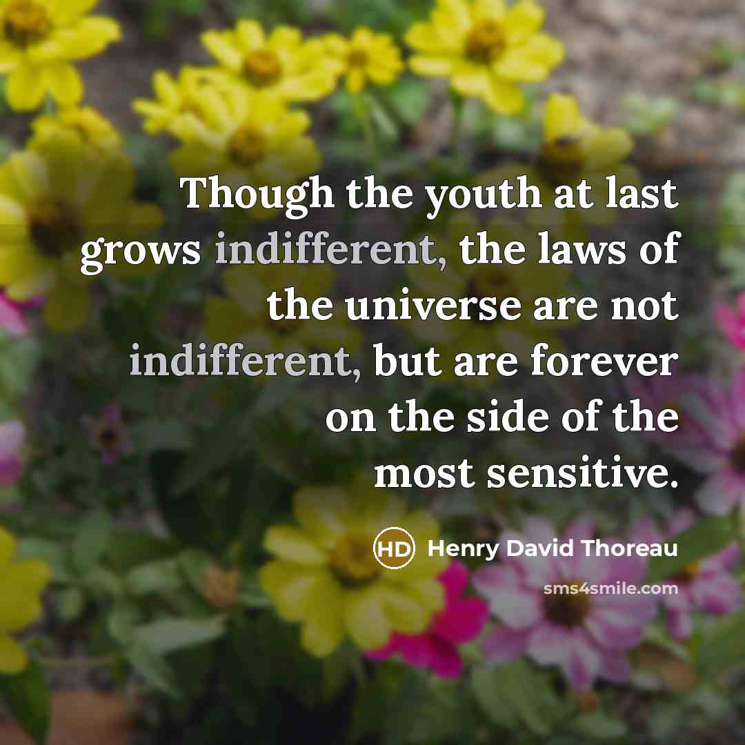 “Though the youth at last grows indifferent, the laws of…” quote by Henry David Thoreau
