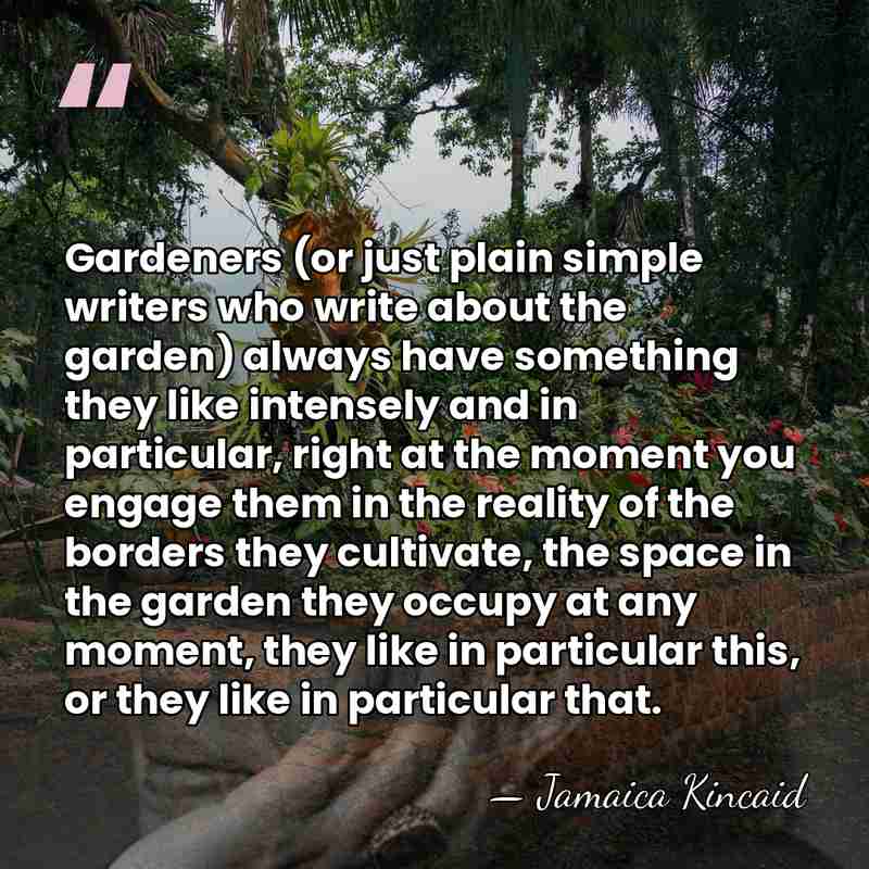 Gardeners (or just plain simple writers who write about the garden) always&hellip; - Jamaica Kincaid