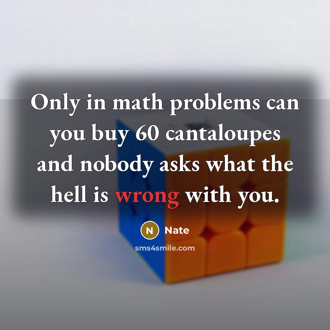 “Only in math problems can you buy 60 cantaloupes and nobody asks what the hell is wrong with you.” quote by Nate