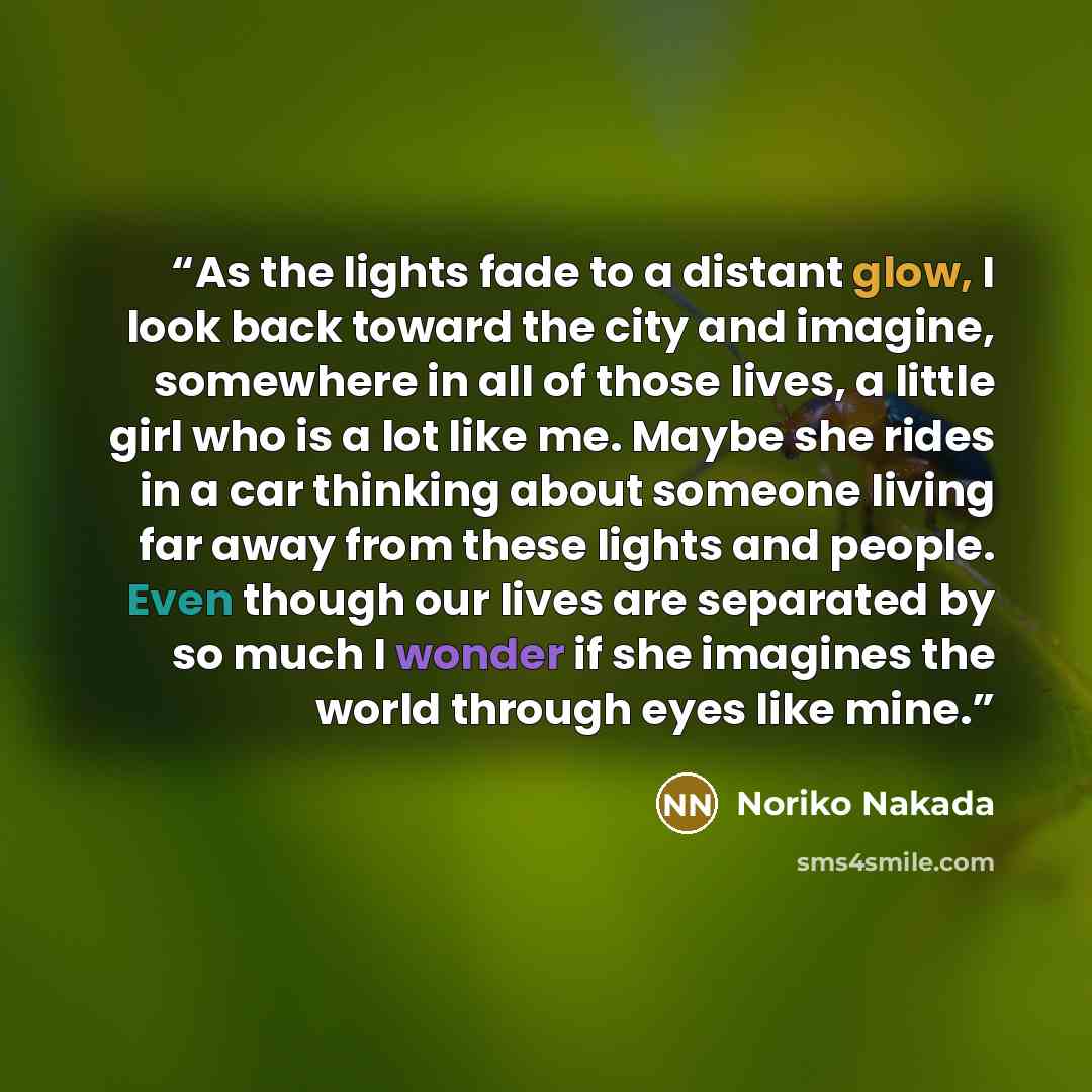 “As the lights fade to a distant glow, I look back toward the city and imagine, somewhere in all of those lives, a little girl who is a lot like me. Maybe she rides in a car thinking about someone living far away from these lights and people. Even though our lives are separated by so much I wonder…” quote by Noriko Nakada
