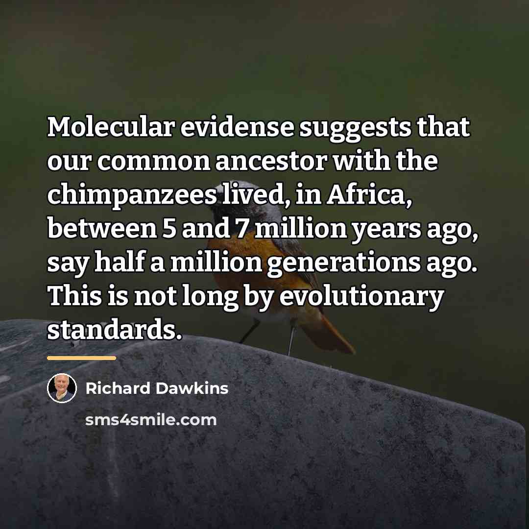 “Molecular evidense suggests that our common ancestor with the chimpanzees…” quote by Richard Dawkins