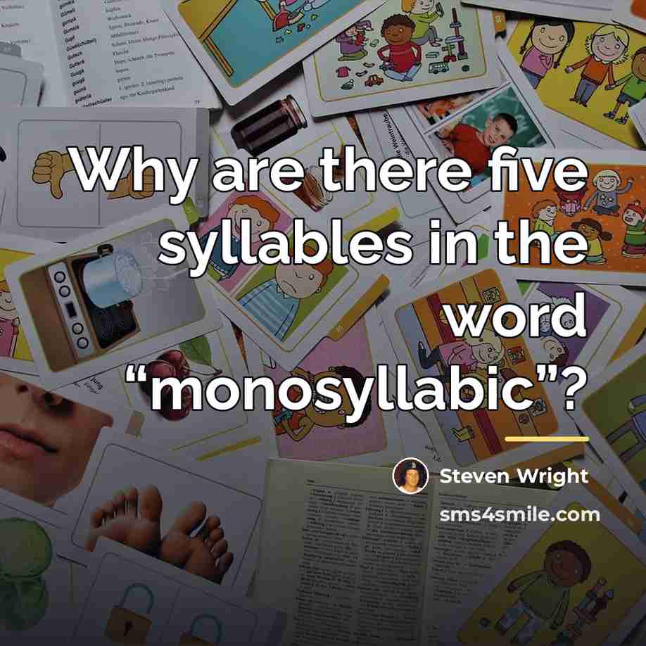 “Why are there five syllables in the word “monosyllabic”?…” quote by Steven Wright