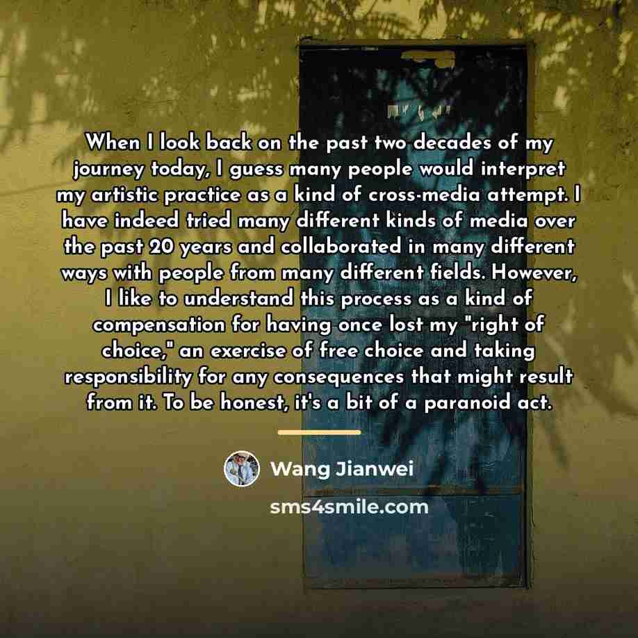 “When I look back on the past two decades of…” quote by Wang Jianwei