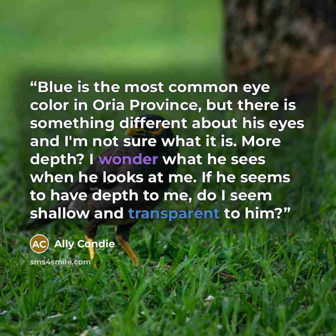 “Blue is the most common eye color in Oria Province, but there is something different about his eyes and I'm not sure what it is. More depth? I wonder what he sees when he looks at me. If he seems to have depth to me, do I seem shallow and transparent to him?” quote by Ally Condie