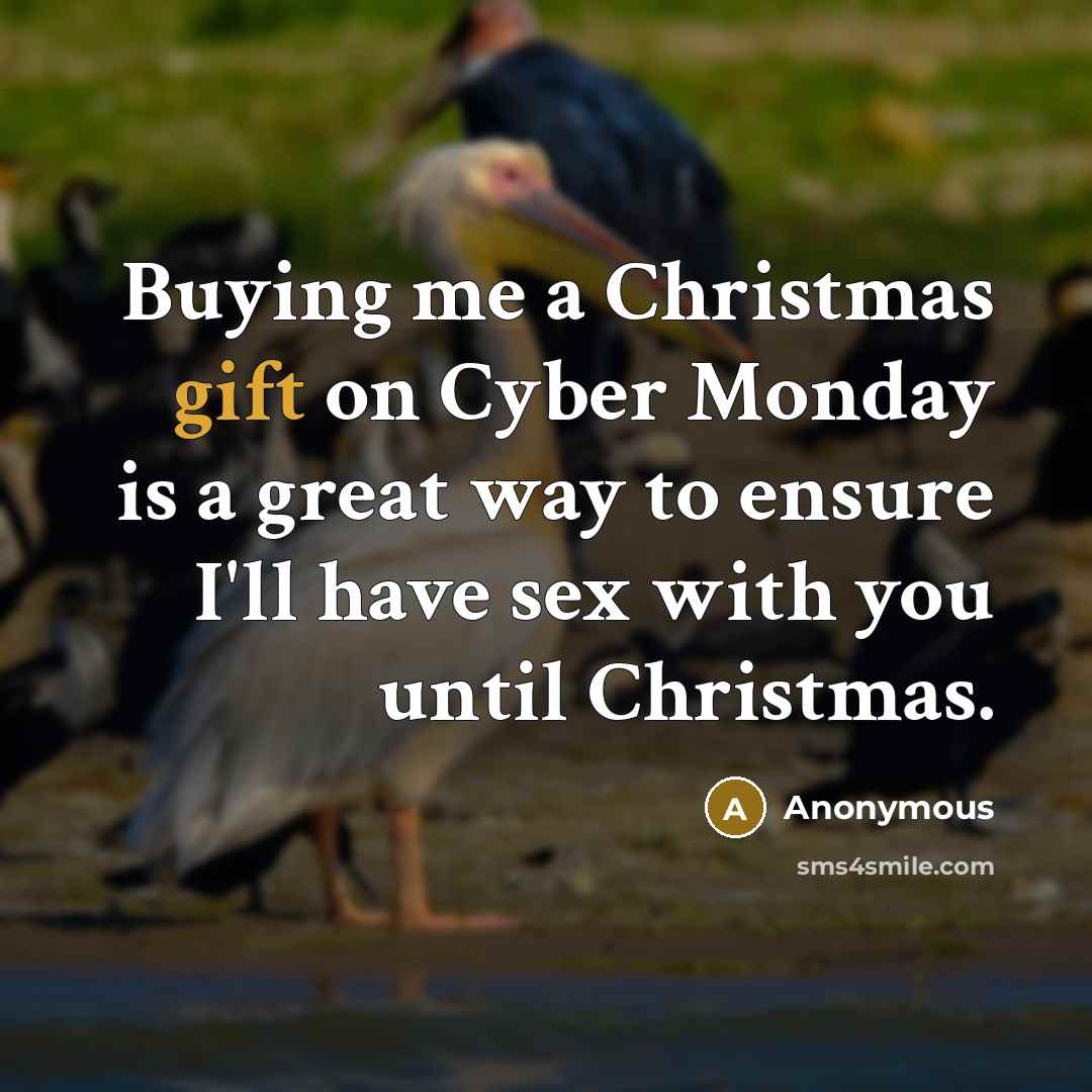 “Buying me a Christmas gift on Cyber Monday is a…” quote by Anonymous