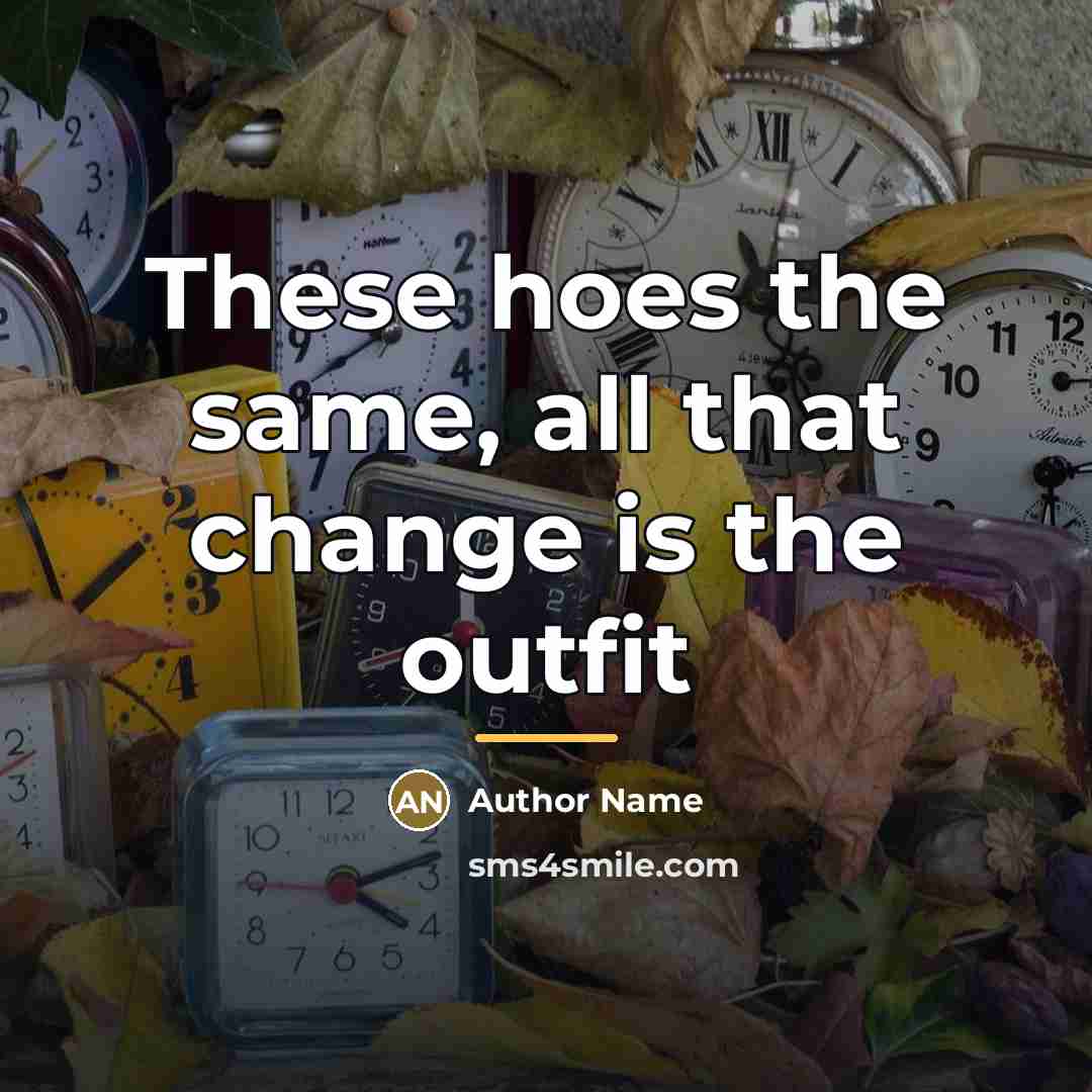 “These hoes the same, all that change is the outfit…” quote by Author Name