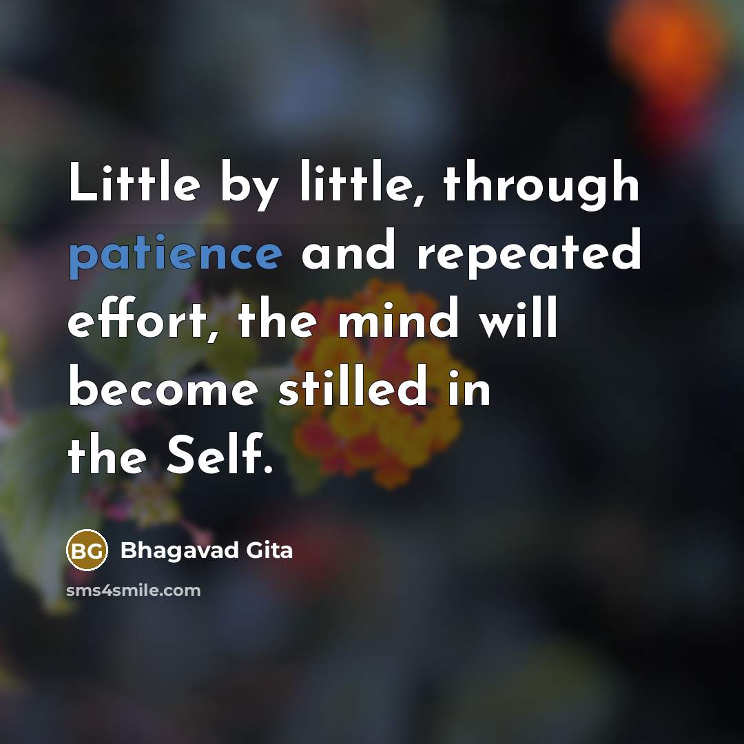 “Little by little, through patience and repeated effort, the mind will become stilled in the Self.” quote by Bhagavad Gita