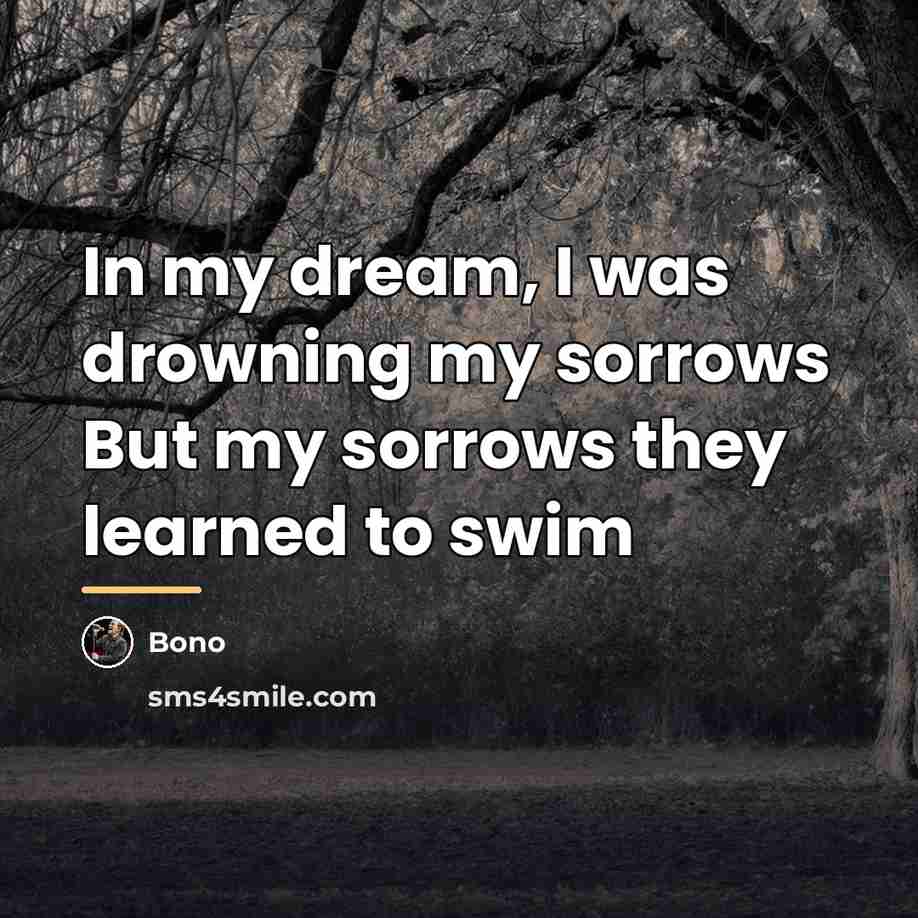 “In my dream, I was drowning my sorrows But my…” quote by Bono