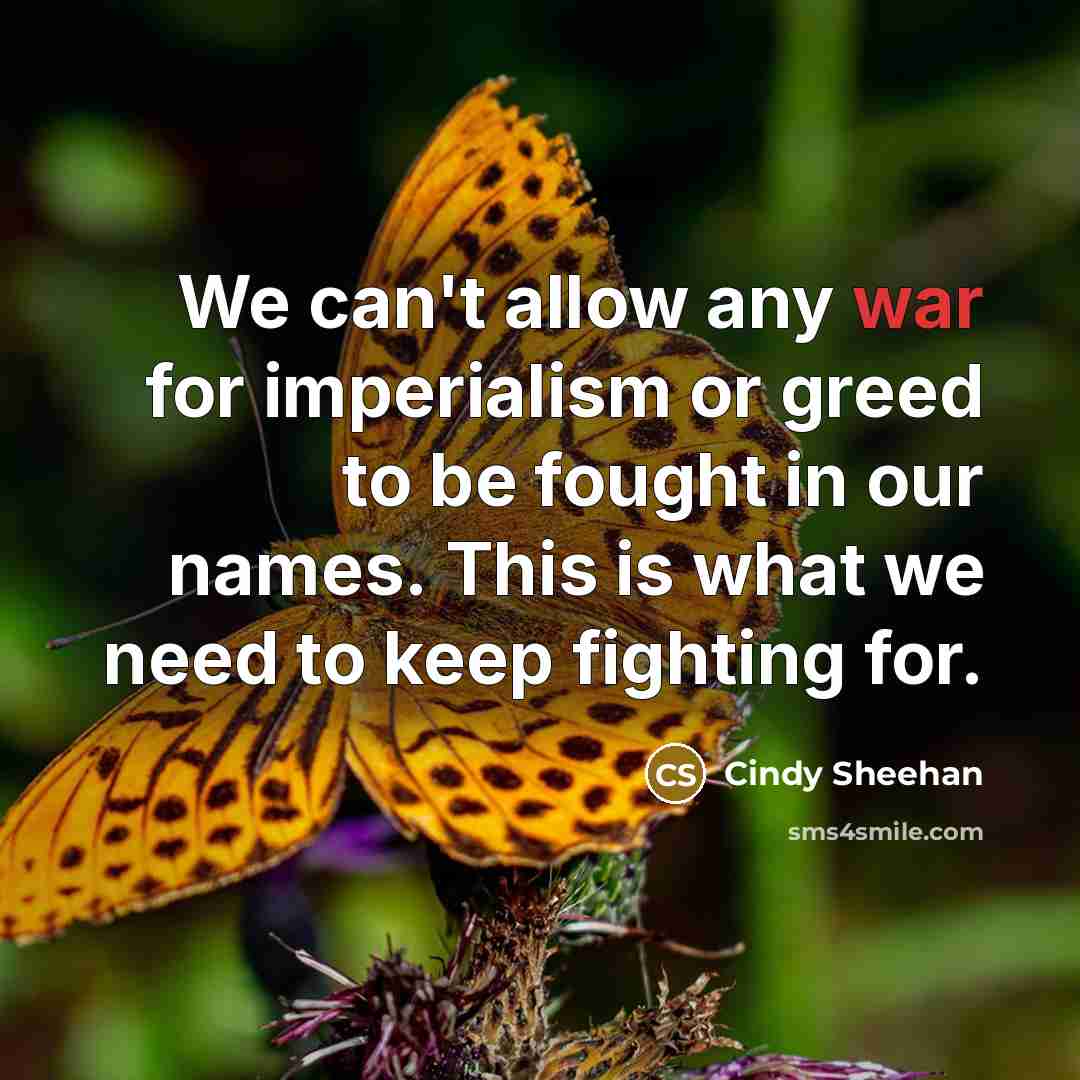 “We can't allow any war for imperialism or greed to…” quote by Cindy Sheehan