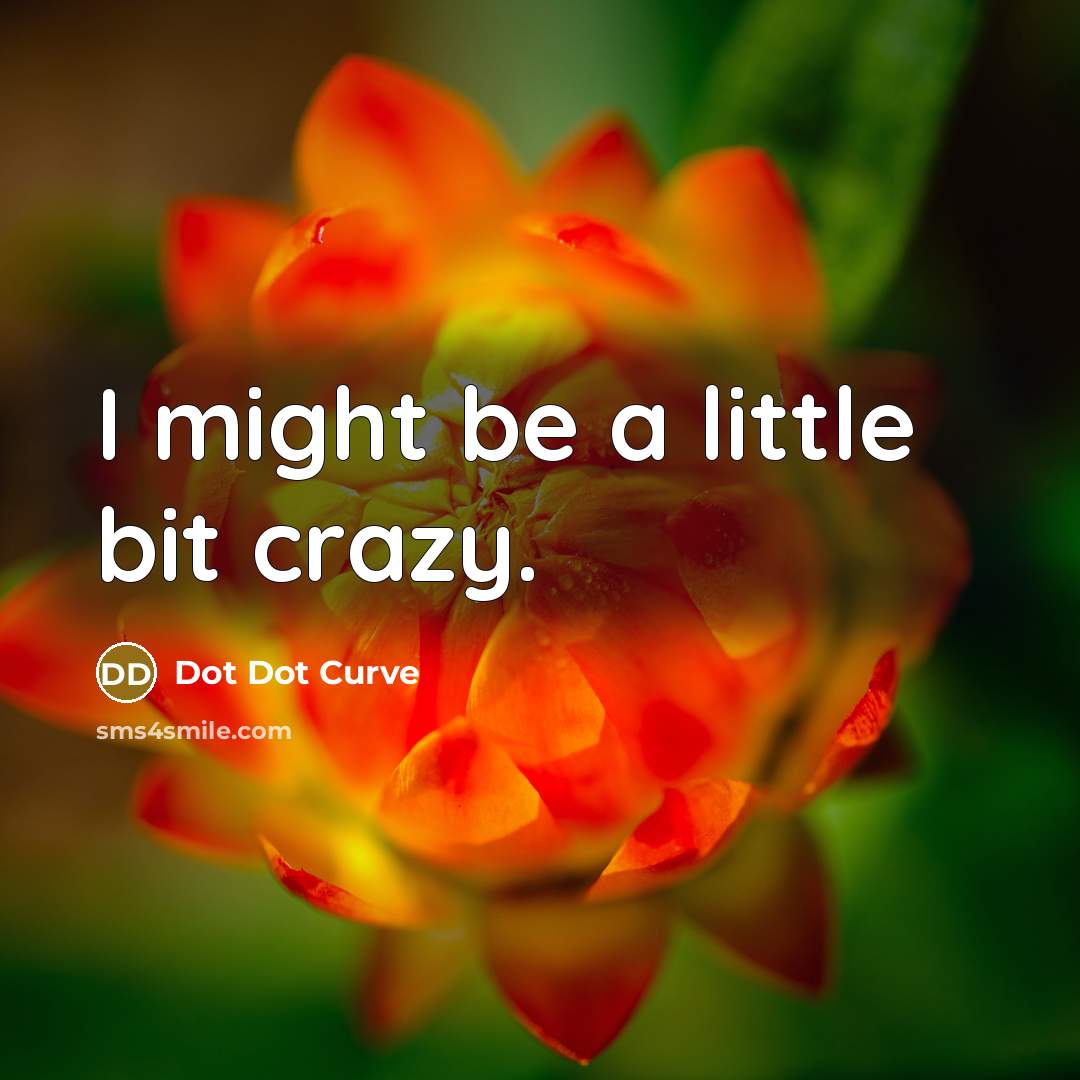 “I might be a little bit crazy.” quote by Dot Dot Curve