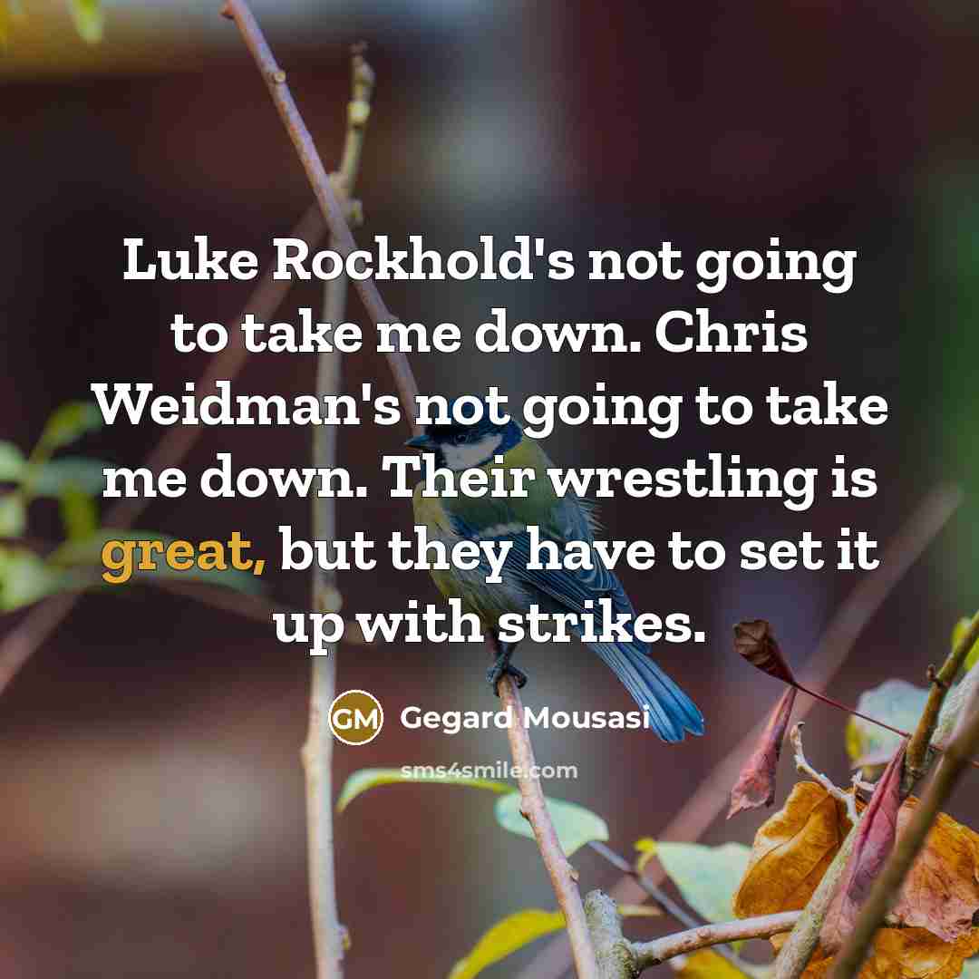 “Luke Rockhold's not going to take me down. Chris Weidman's…” quote by Gegard Mousasi