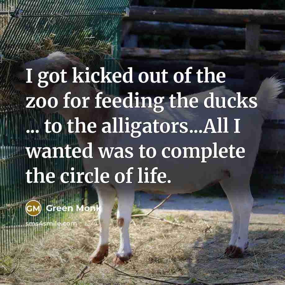 “I got kicked out of the zoo for feeding the…” quote by Green Monk