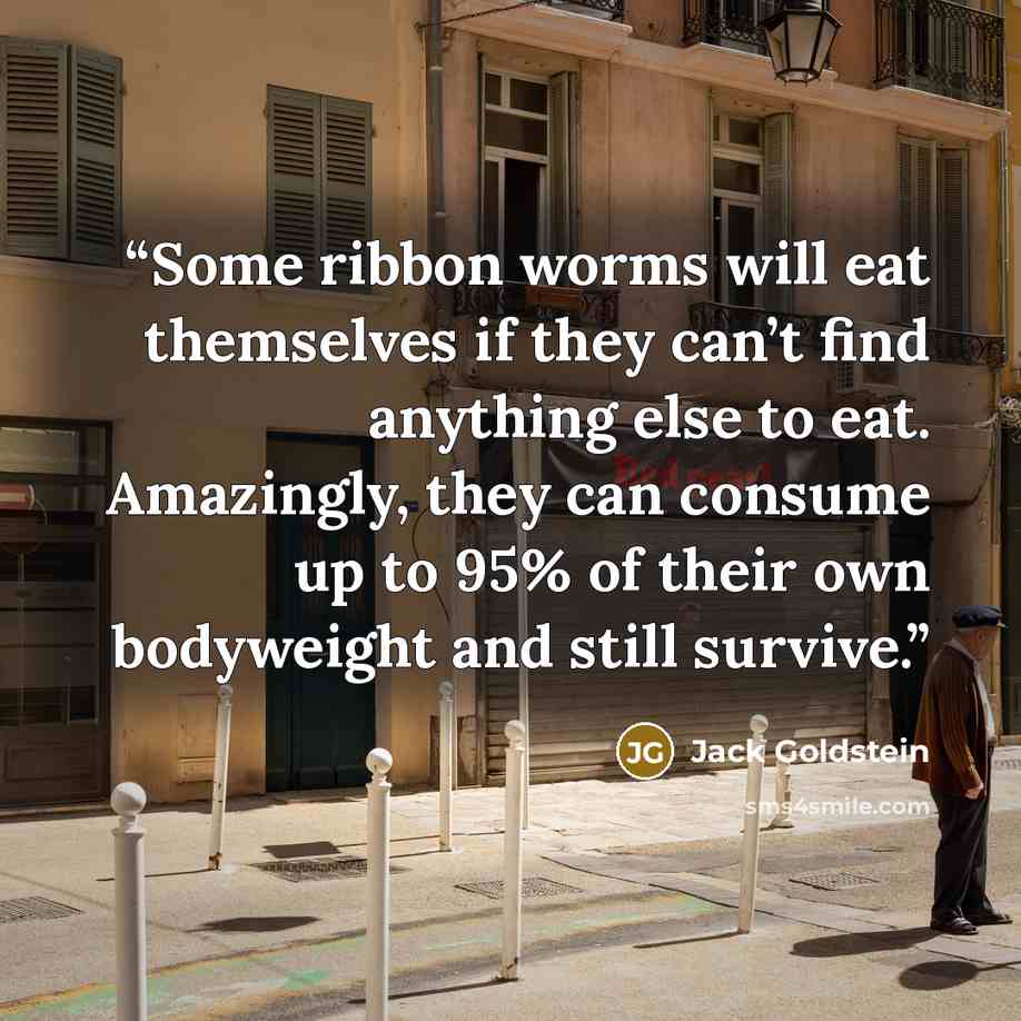 “Some ribbon worms will eat themselves if they can’t find anything else to eat. Amazingly, they can consume up to 95% of their own bodyweight and still survive.” quote by Jack Goldstein