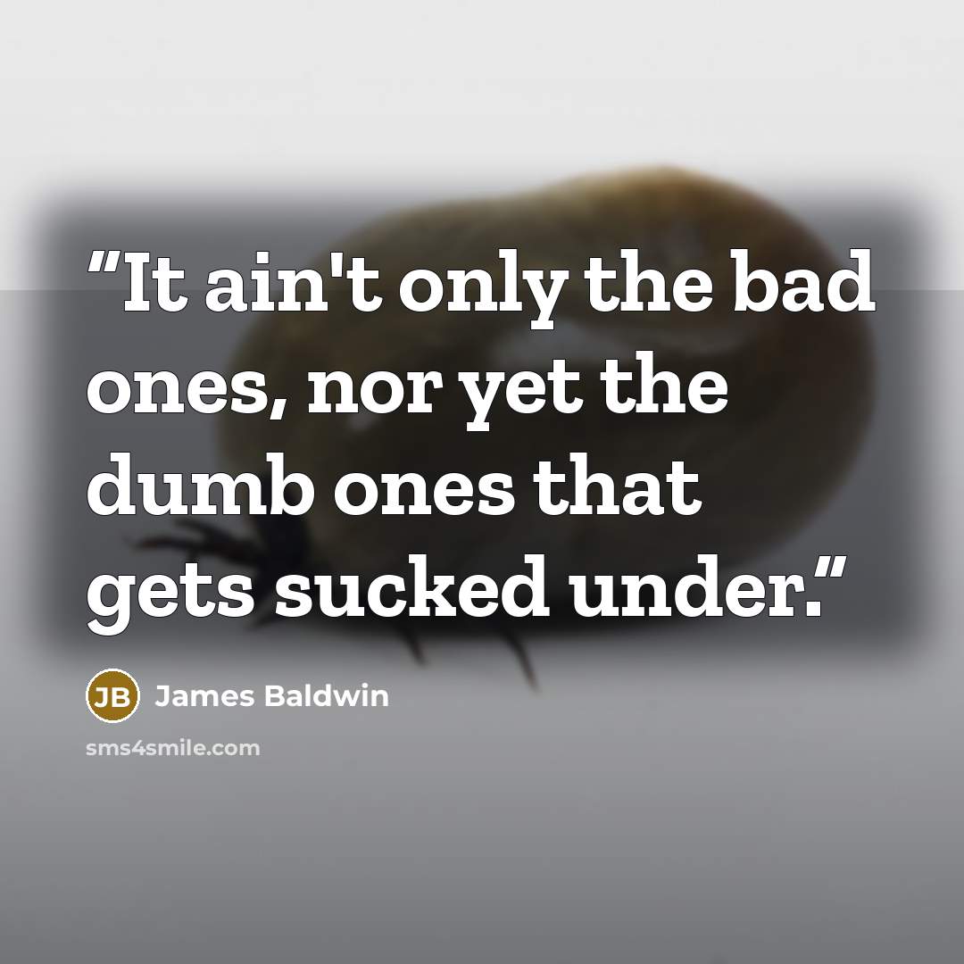 “It ain't only the bad ones, nor yet the dumb ones that gets sucked under.” quote by James Baldwin