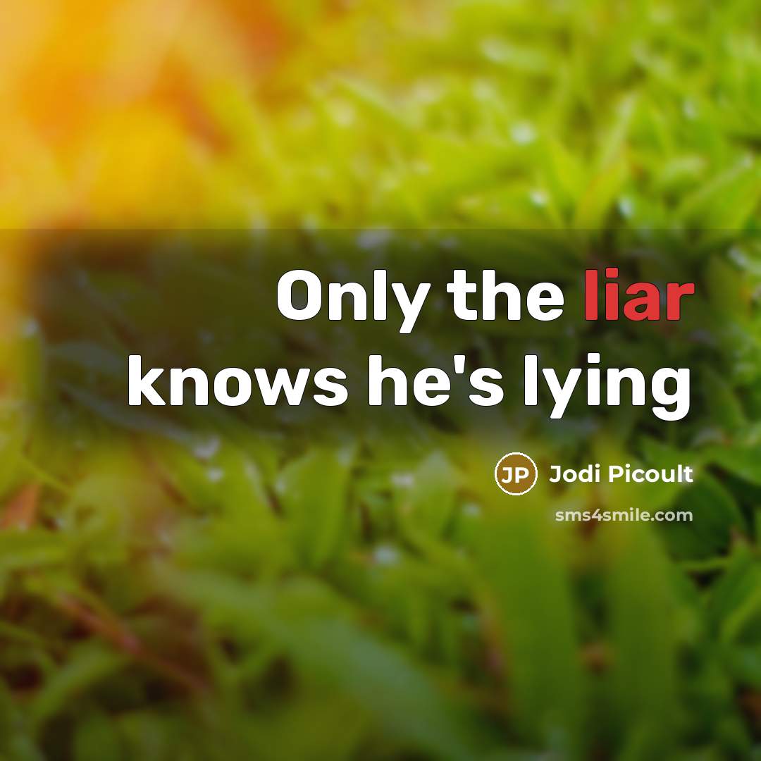“Only the liar knows he's lying…” quote by Jodi Picoult