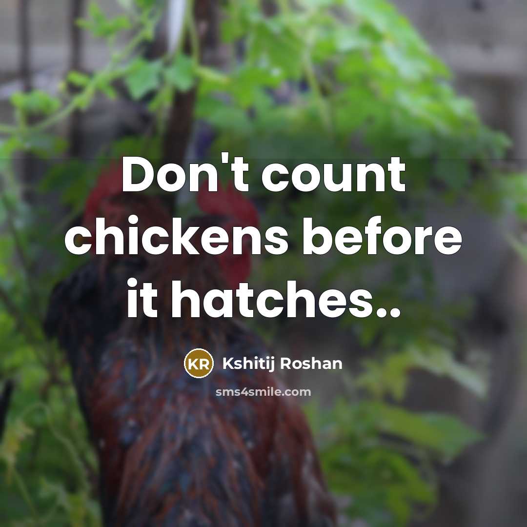 “Don't count chickens before it hatches..…” quote by Kshitij Roshan