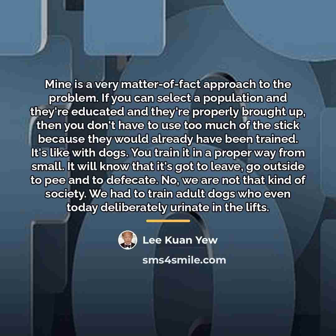 “Mine is a very matter-of-fact approach to the problem. If…” quote by Lee Kuan Yew