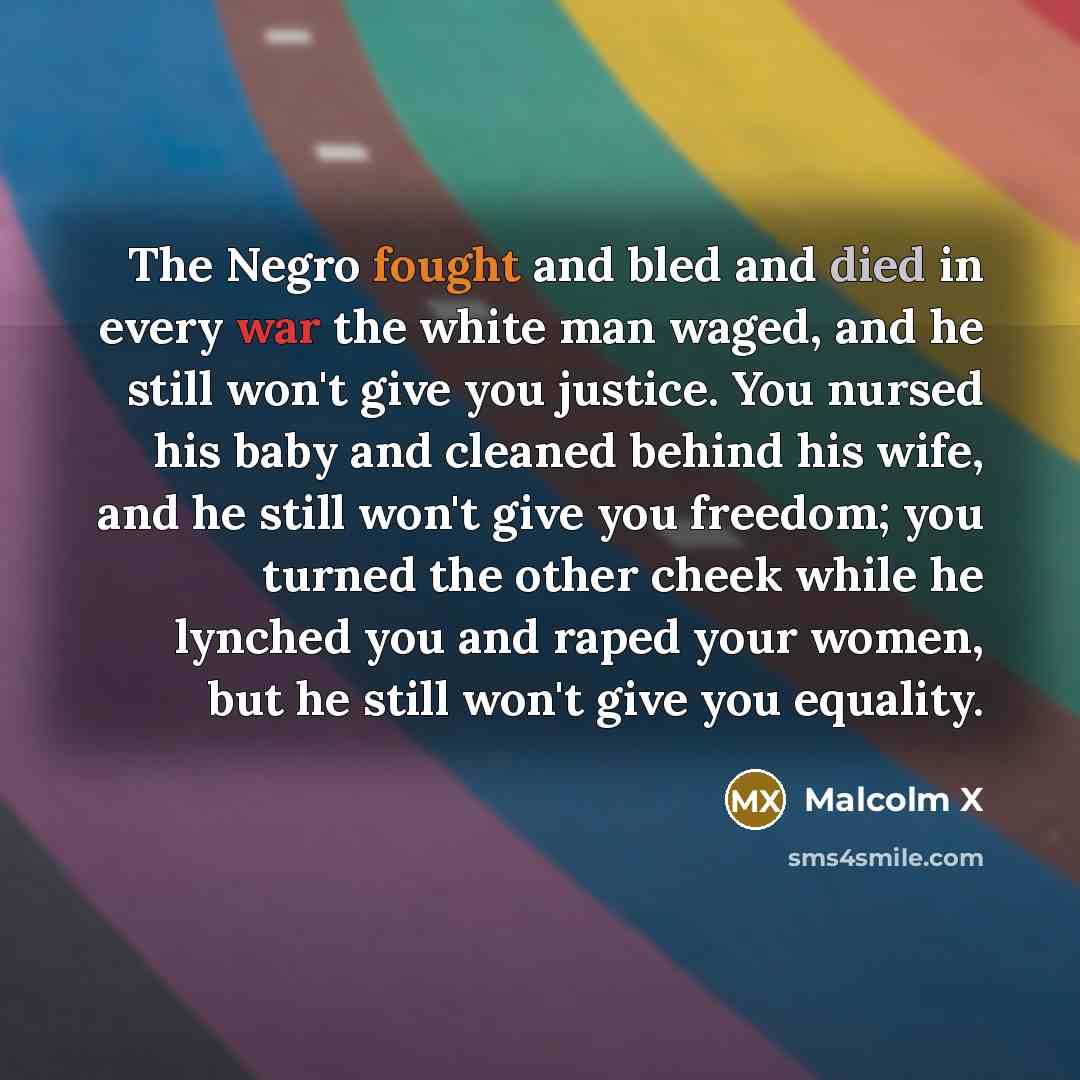 “The Negro fought and bled and died in every war…” quote by Malcolm X