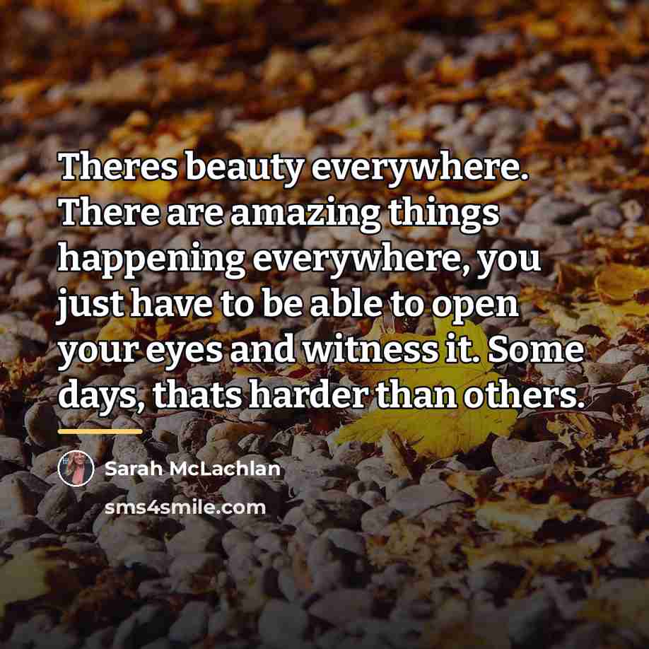 “Theres beauty everywhere. There are amazing things happening everywhere, you…” quote by Sarah McLachlan