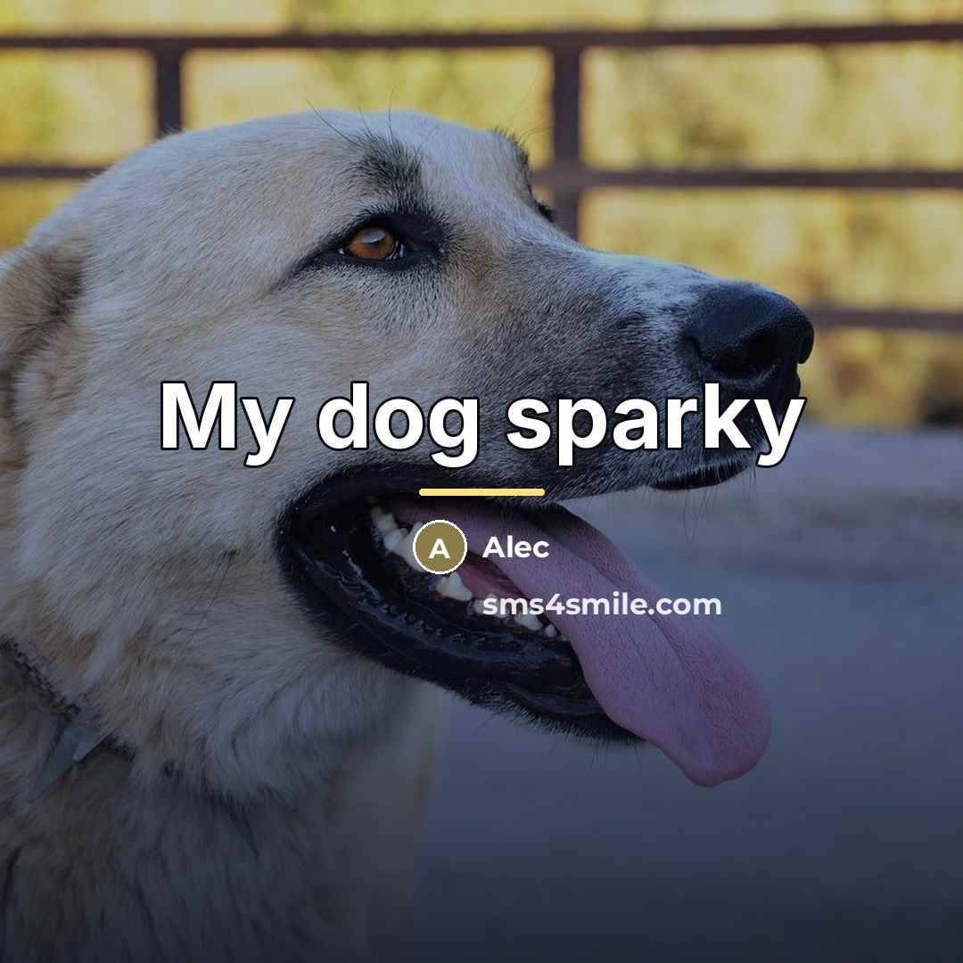 “My dog sparky…” quote by Alec