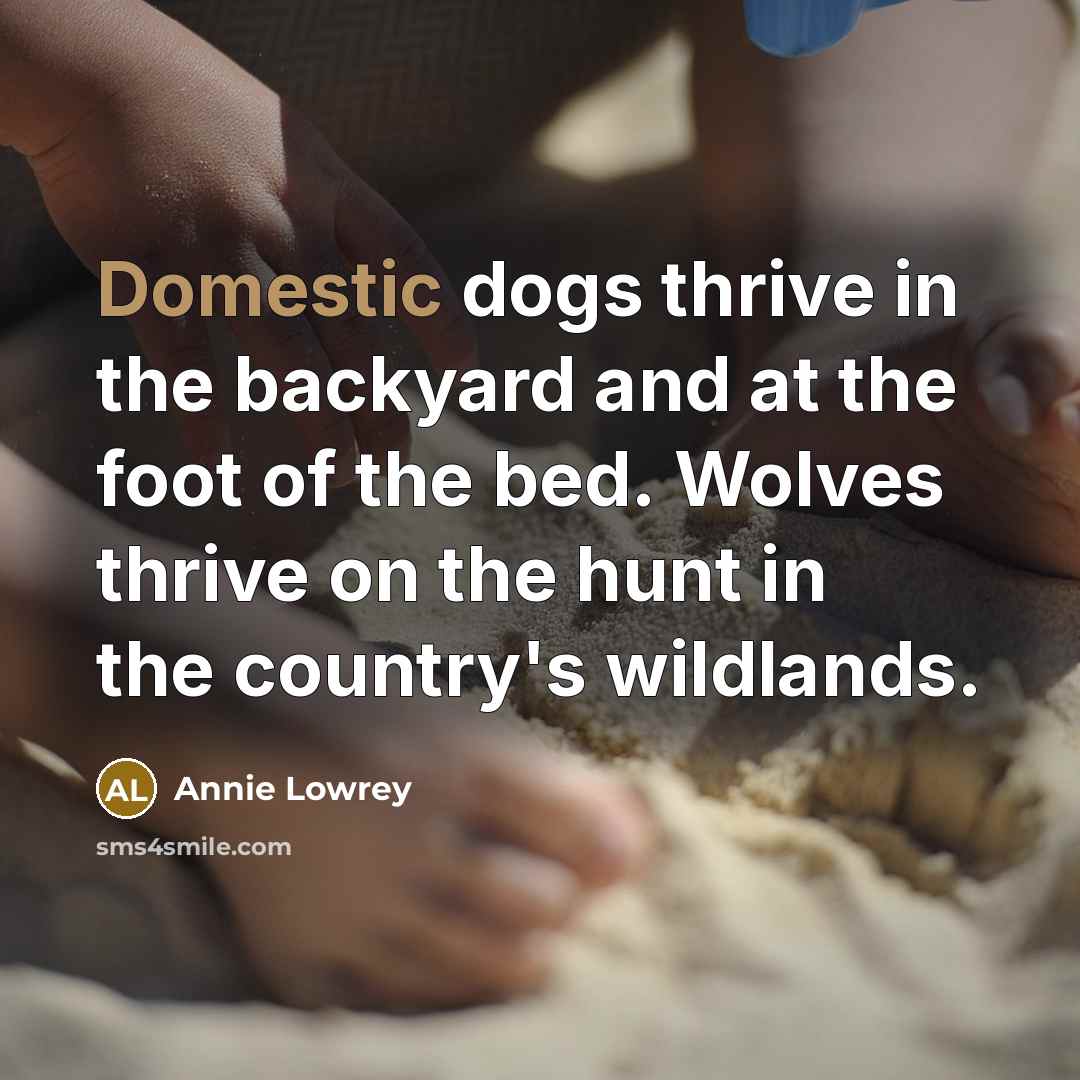 “Domestic dogs thrive in the backyard and at the foot…” quote by Annie Lowrey
