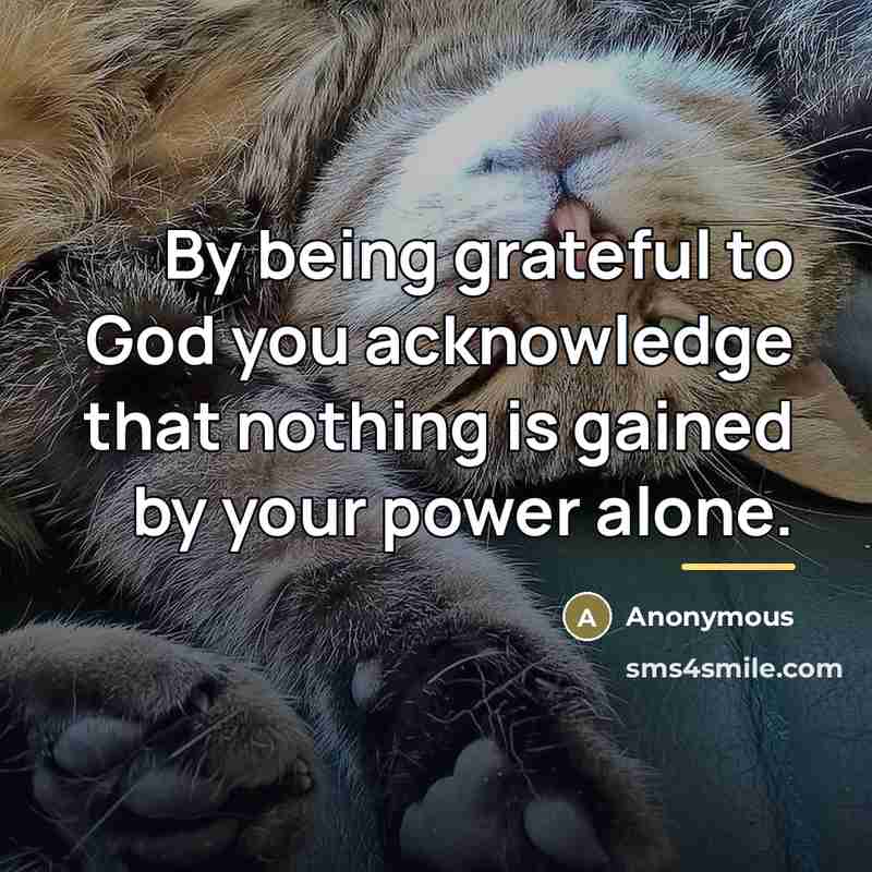 “By being grateful to God you acknowledge that nothing is…” quote by Anonymous