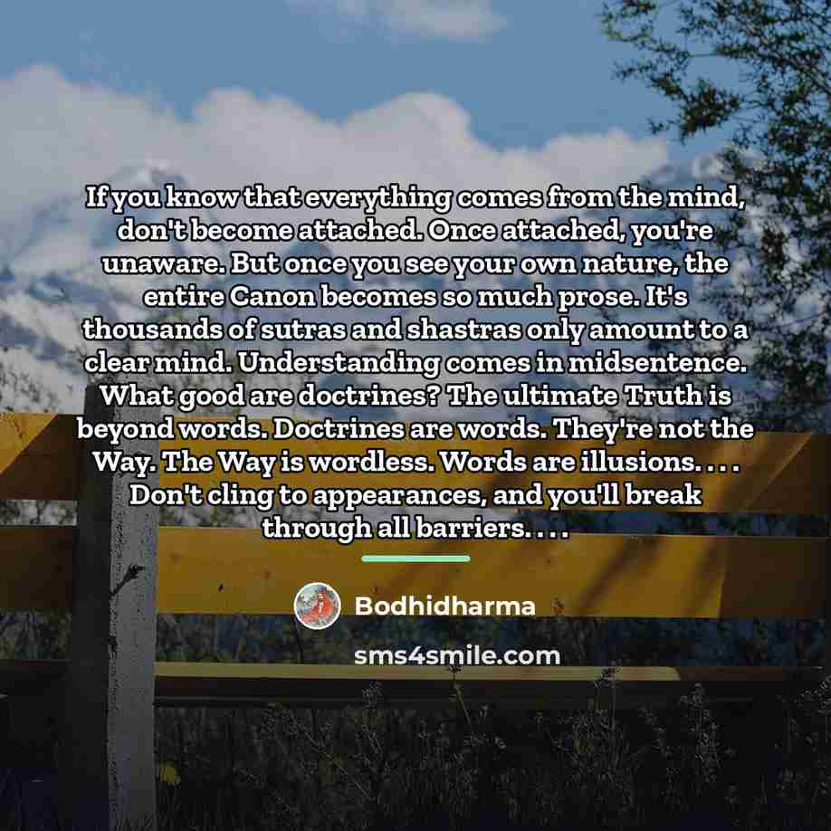 “If you know that everything comes from the mind, don't…” quote by Bodhidharma