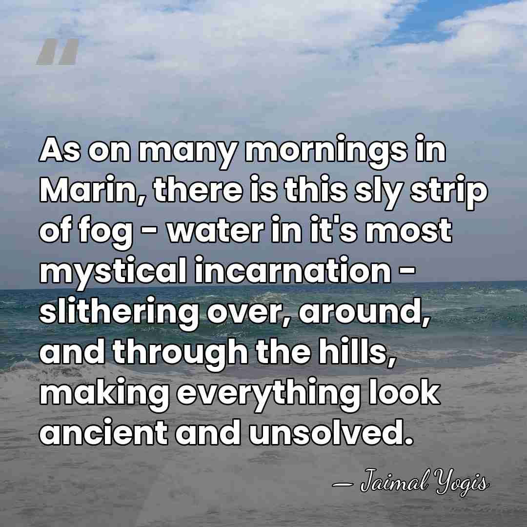 As on many mornings in Marin, there is this sly strip of&hellip; - Jaimal Yogis