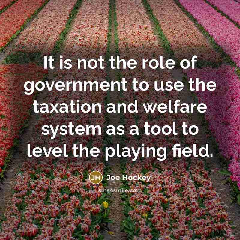 “It is not the role of government to use the…” quote by Joe Hockey