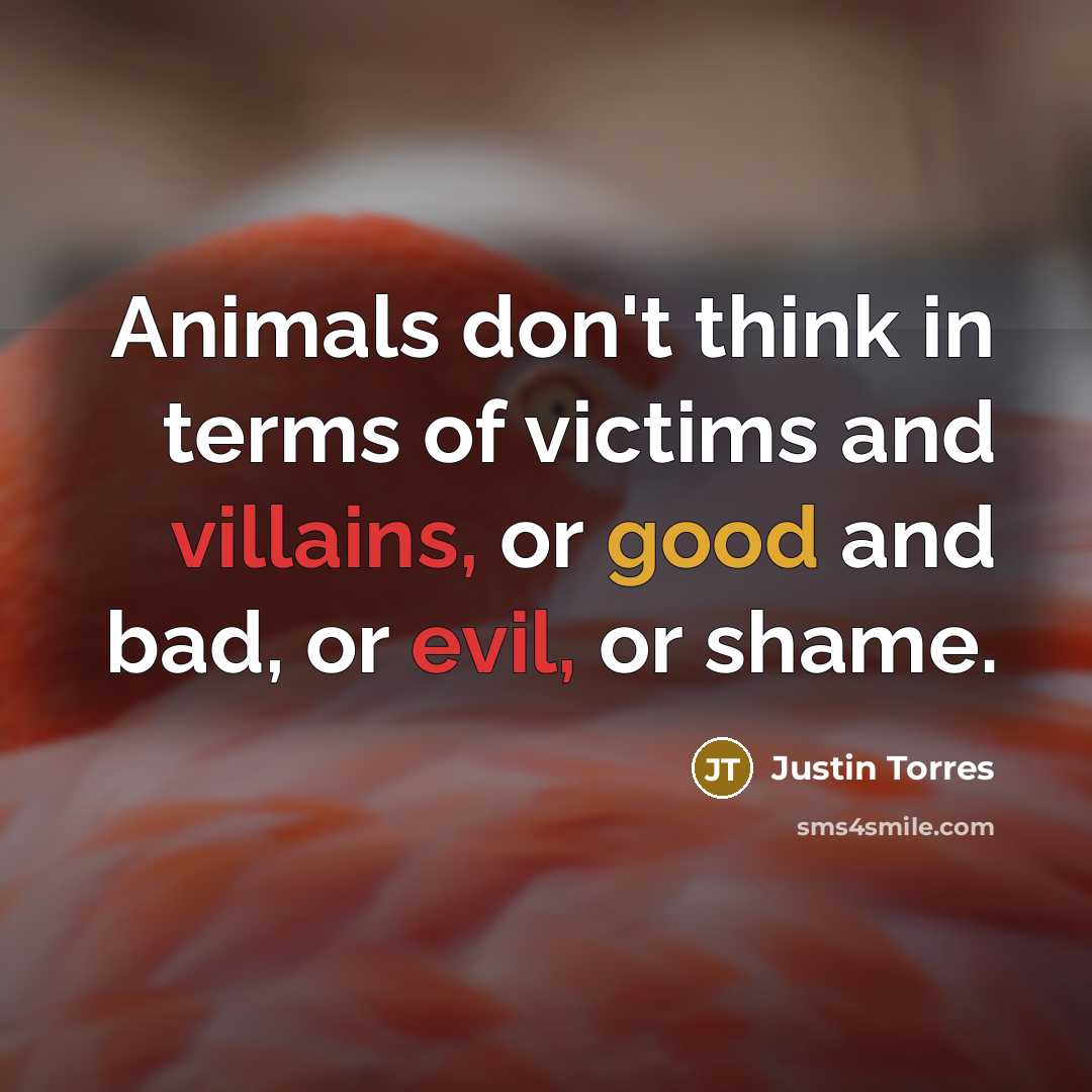 “Animals don't think in terms of victims and villains, or…” quote by Justin Torres
