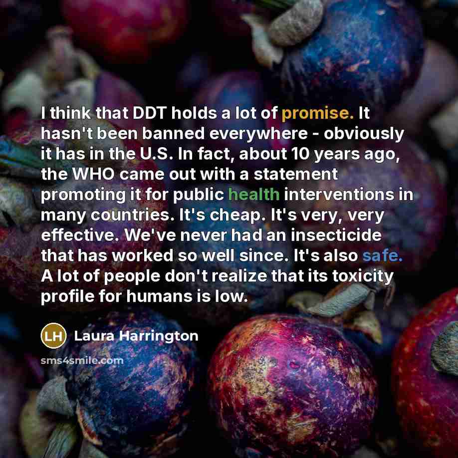 “I think that DDT holds a lot of promise. It…” quote by Laura Harrington