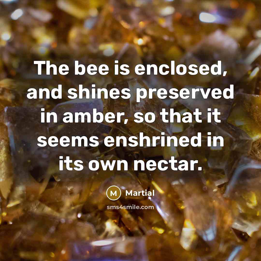 “The bee is enclosed, and shines preserved in amber, so…” quote by Martial