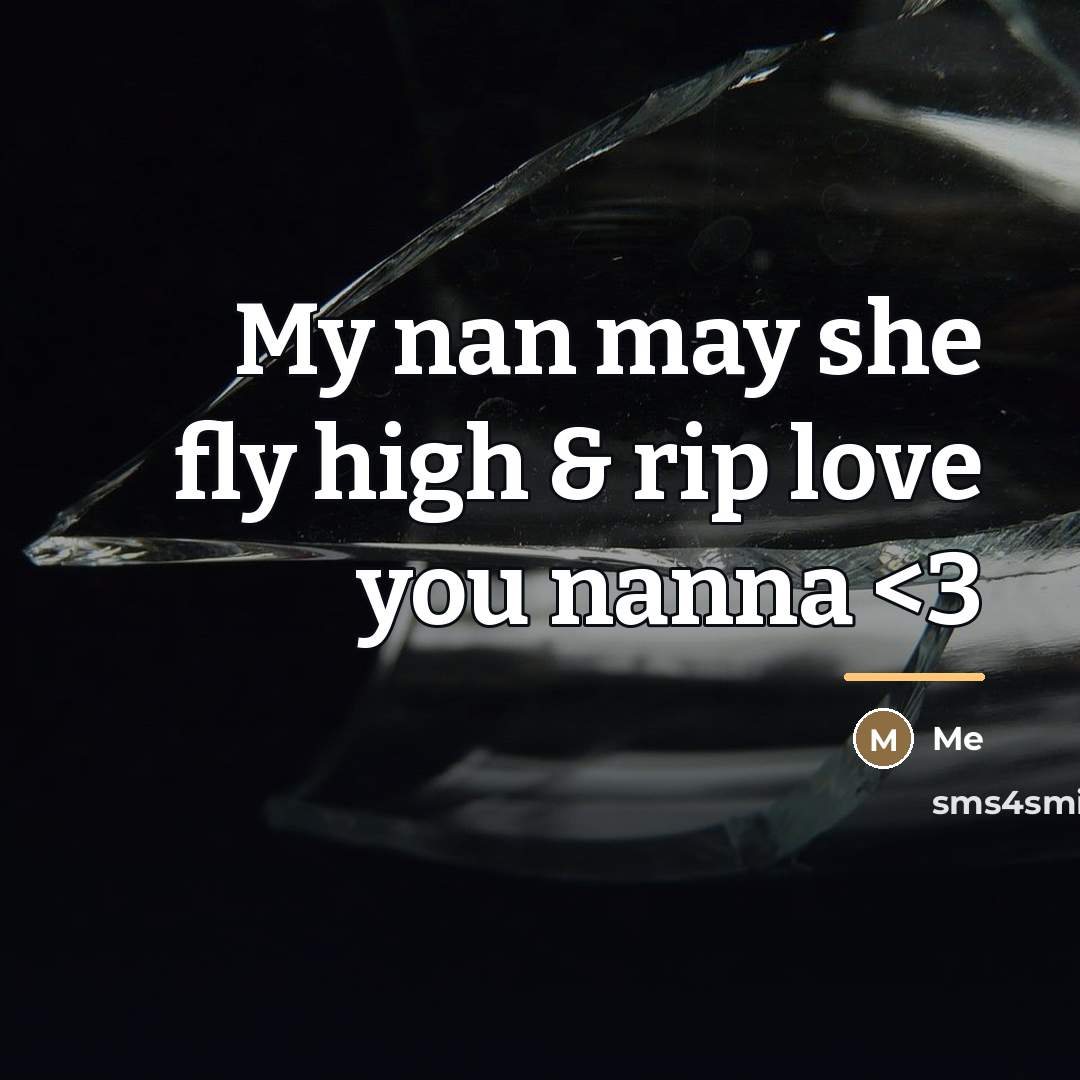 “My nan may she fly high & rip love you…” quote by Me