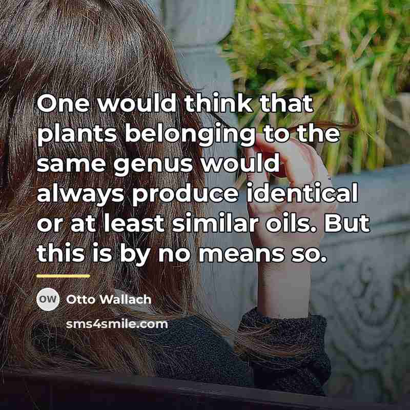 “One would think that plants belonging to the same genus…” quote by Otto Wallach