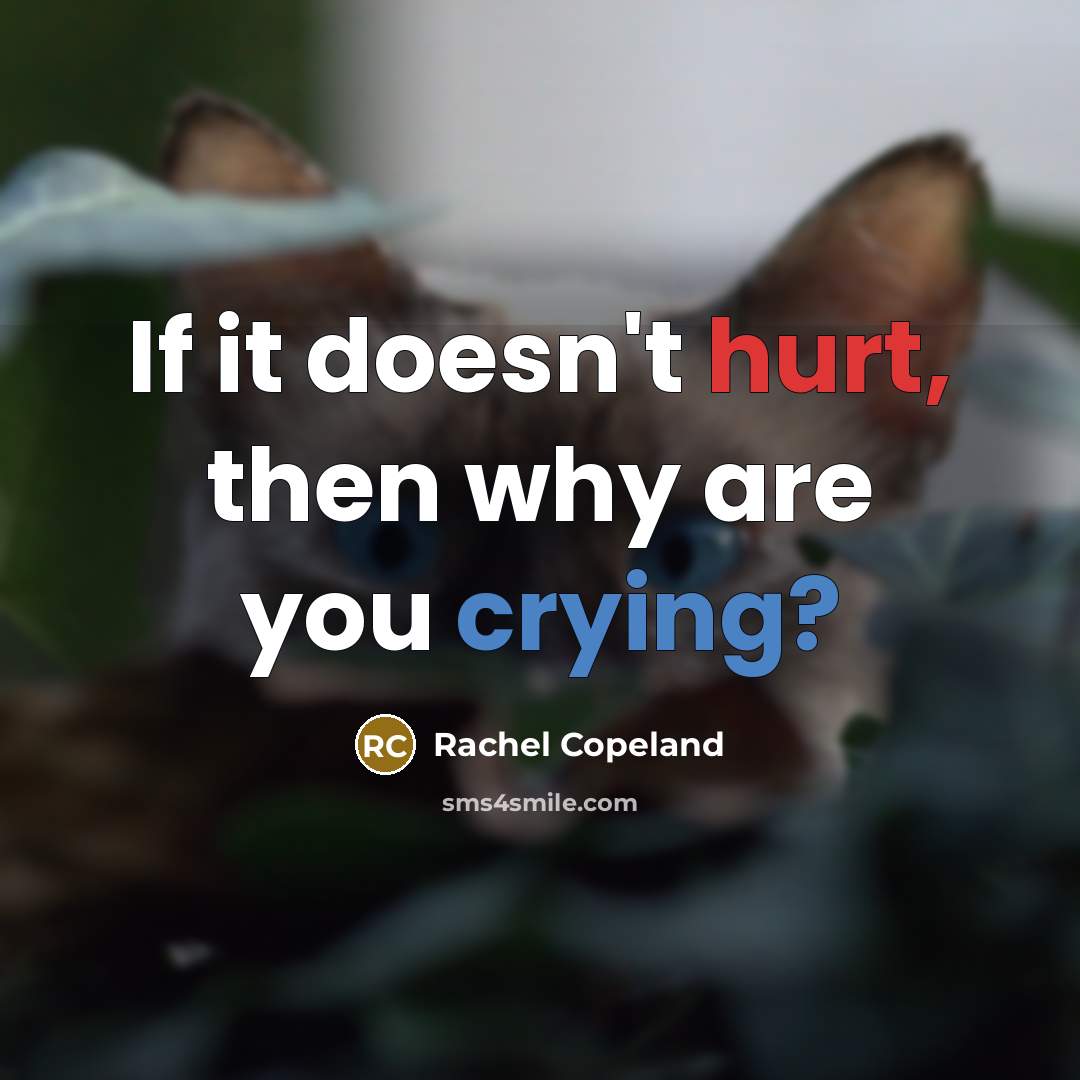 “If it doesn't hurt, then why are you crying?…” quote by Rachel Copeland