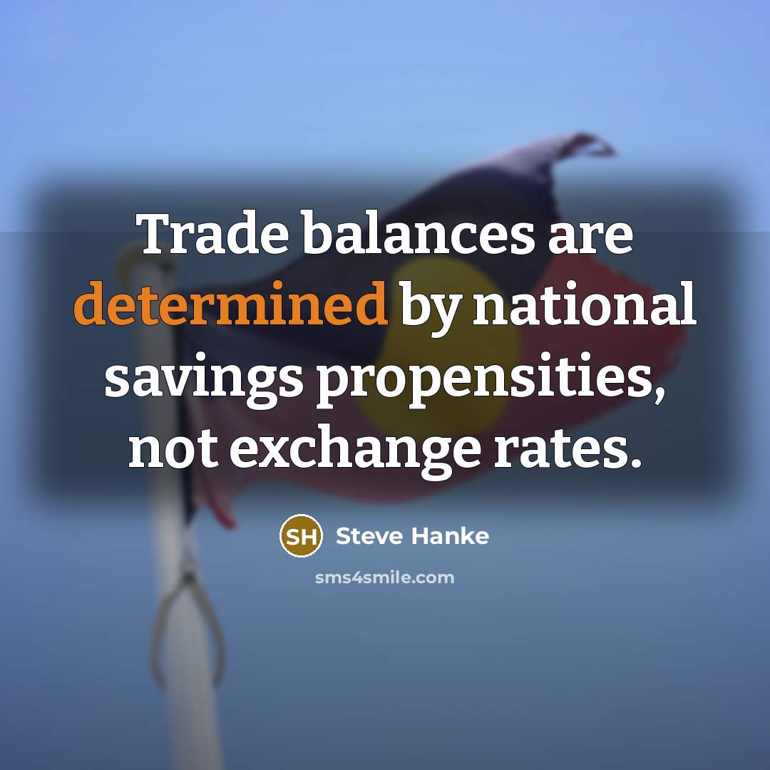 “Trade balances are determined by national savings propensities, not exchange…” quote by Steve Hanke
